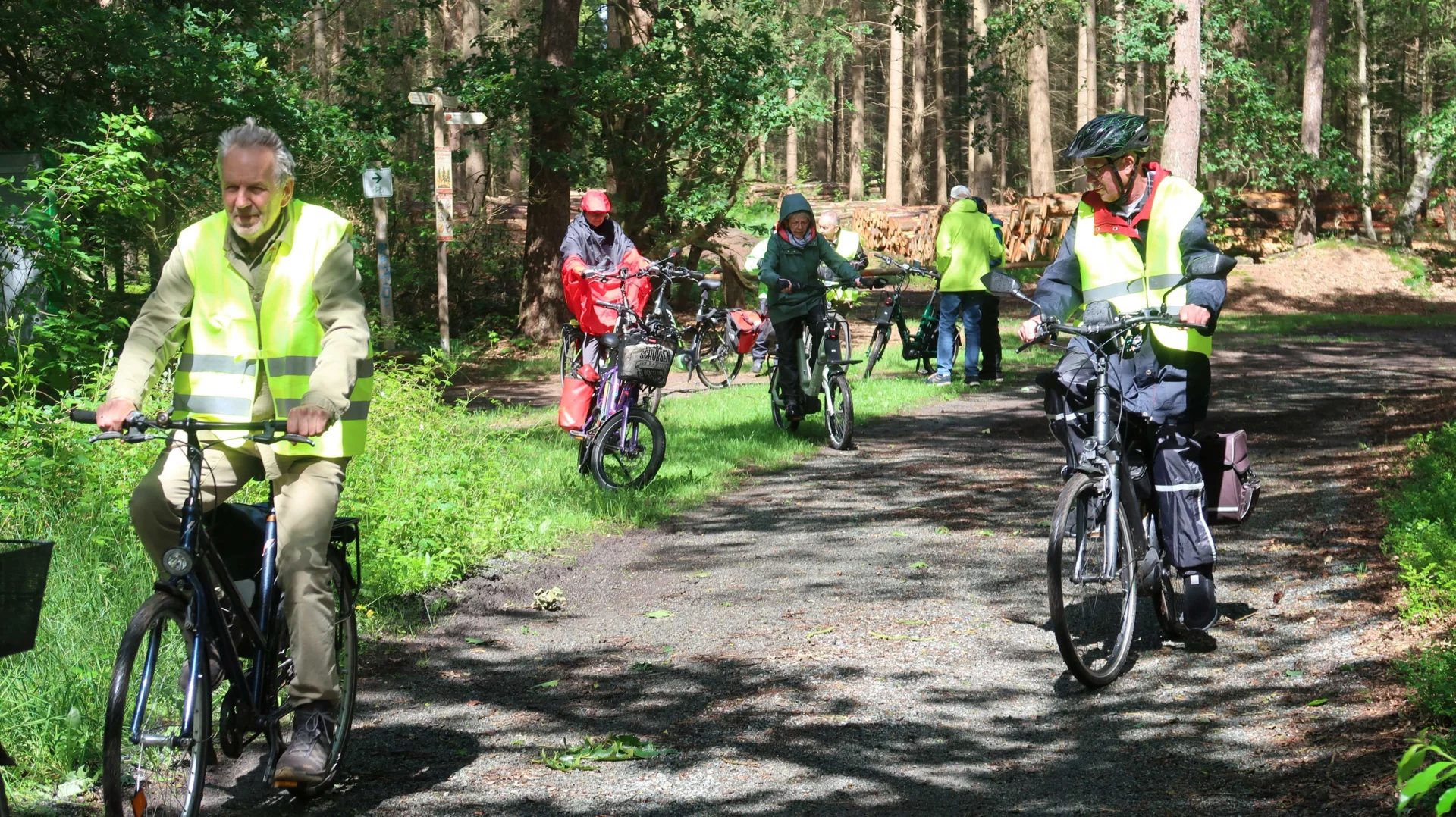 Bild: Durch den Sandkruger Wald