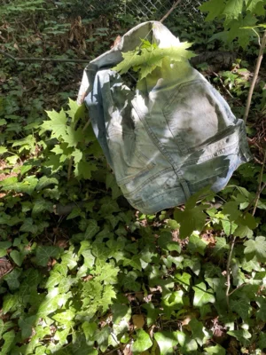 Foto des Albums: CleanUp Hürth im Juni