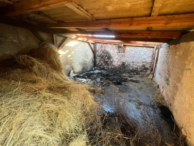 Foto des Albums: Einsatz 053/2026