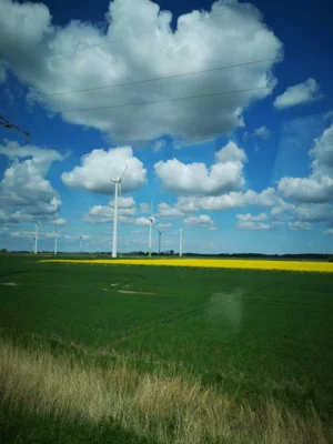 Foto des Albums: Seniorenausfahrt der Gemeinde Seester nach Dithmarschen