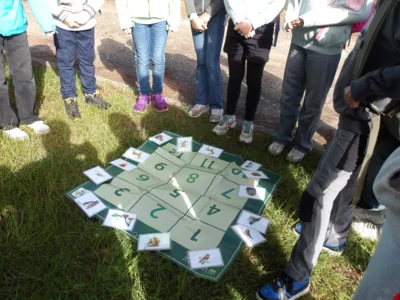 Foto des Albums: Waldolympiade 2026