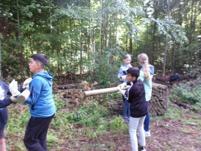 Foto des Albums: Waldolympiade 2026