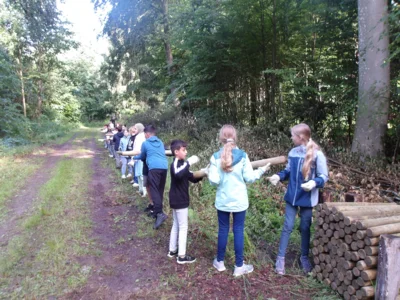Foto des Albums: Waldolympiade 2026