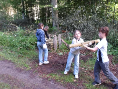 Foto des Albums: Waldolympiade 2026