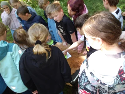 Foto des Albums: Waldolympiade 2026.2