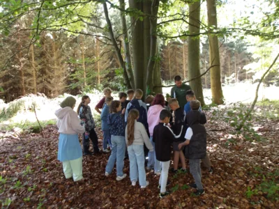 Foto des Albums: Waldolympiade 2026.2