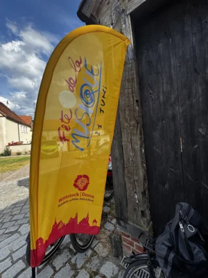 Foto des Albums: Fête de la Musique 2026