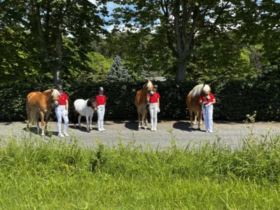 Foto des Albums: Jungzüchter Hessenmeisterschaft