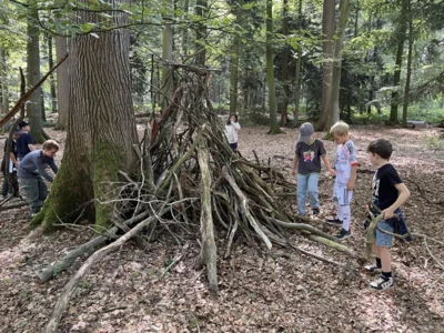 Foto des Albums: Waldhaus Wildenloh