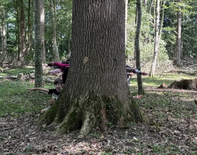 Foto des Albums: Waldhaus Wildenloh