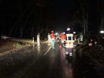 Foto des Albums: 09.02.2020  Hilfeleistung Unwetter- Vorsfelder Str. Velpke - Bäume auf Fahrbahn