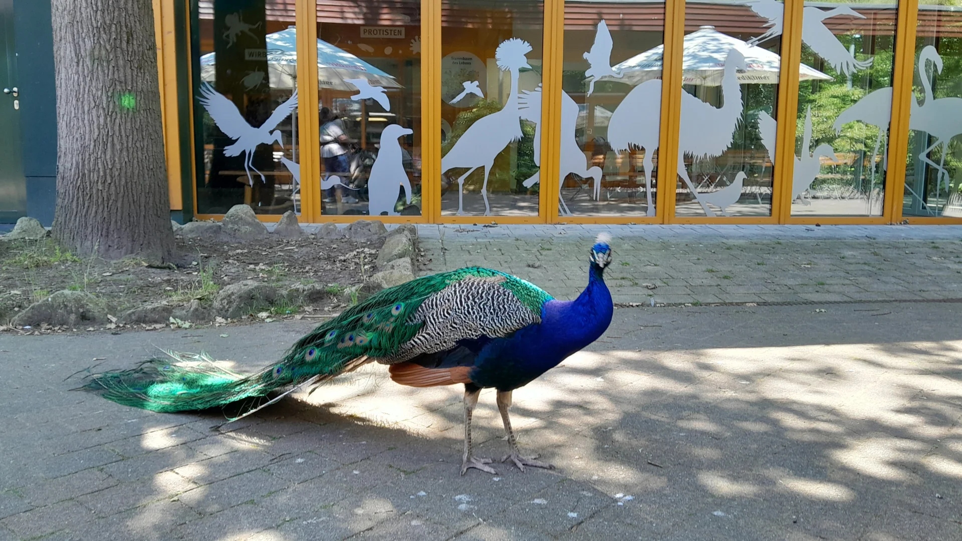 Bild der Galerie