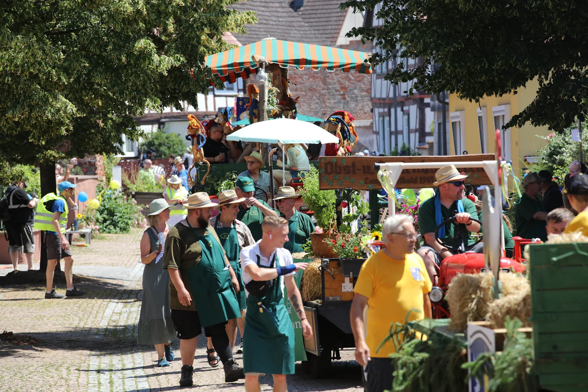 Bild der Galerie