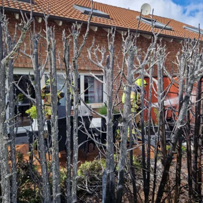 Foto des Albums: 12.06.2026 Brennt Hecke