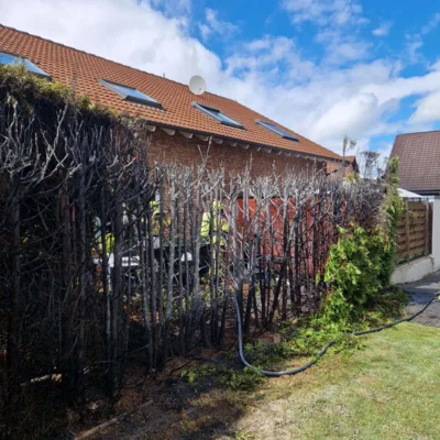 Foto des Albums: 12.06.2026 Brennt Hecke