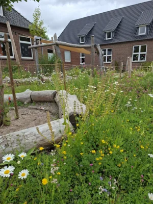 Ein Bienenparadies  (Bild vergr&ouml;&szlig;ern)
