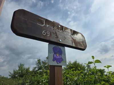 Foto des Albums: Wegweiser mit Charakter