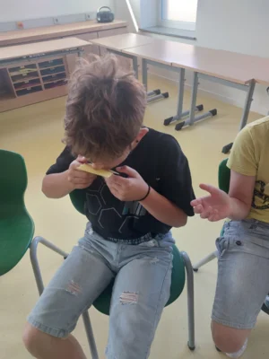 Foto des Albums: Besuch vom Imker Kl. 2 🐝
