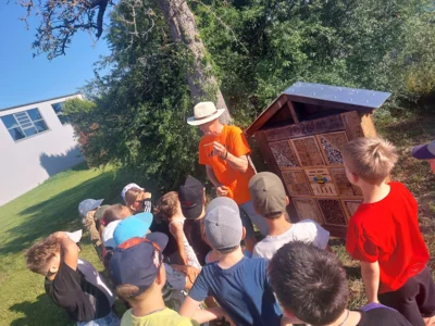 Foto des Albums: Besuch vom Imker Kl. 2 🐝