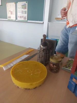 Foto des Albums: Besuch vom Imker Kl. 2 🐝