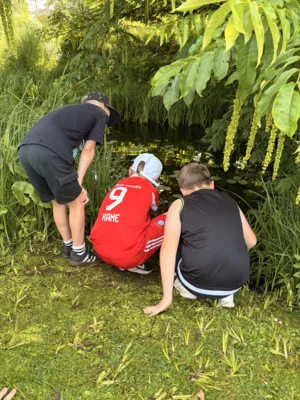Foto des Albums: Park der Gärten 2026