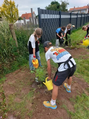 Foto des Albums: Wir pflanzen eine instektenfreundliche Hecke 🐝 🌳