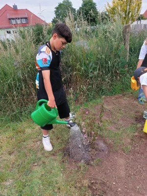 Foto des Albums: Wir pflanzen eine instektenfreundliche Hecke 🐝 🌳