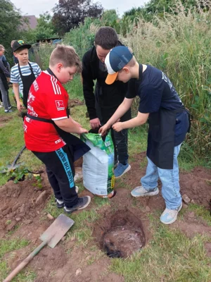 Foto des Albums: Wir pflanzen eine instektenfreundliche Hecke 🐝 🌳
