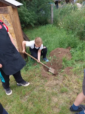 Foto des Albums: Wir pflanzen eine instektenfreundliche Hecke 🐝 🌳