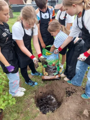 Foto des Albums: Wir pflanzen eine instektenfreundliche Hecke 🐝 🌳