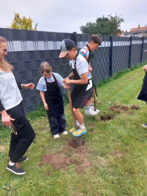 Foto des Albums: Wir pflanzen eine instektenfreundliche Hecke 🐝 🌳
