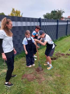 Foto des Albums: Wir pflanzen eine instektenfreundliche Hecke 🐝 🌳