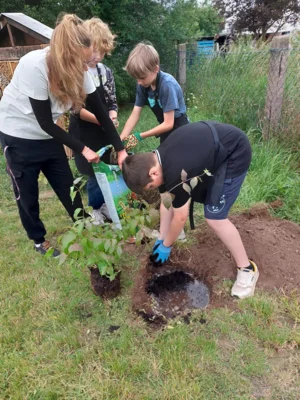 Foto des Albums: Wir pflanzen eine instektenfreundliche Hecke 🐝 🌳