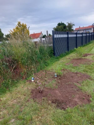 Foto des Albums: Wir pflanzen eine instektenfreundliche Hecke 🐝 🌳