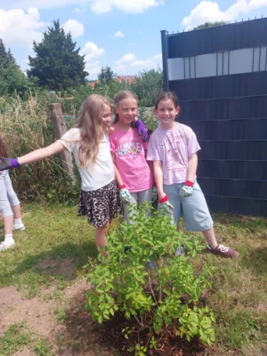 Foto des Albums: Wir pflanzen eine instektenfreundliche Hecke 🐝 🌳