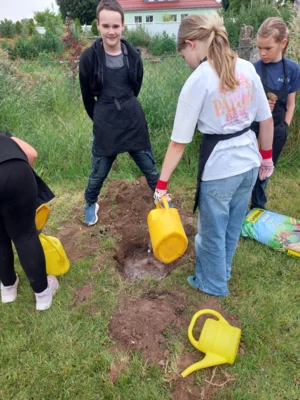 Foto des Albums: Wir pflanzen eine instektenfreundliche Hecke 🐝 🌳