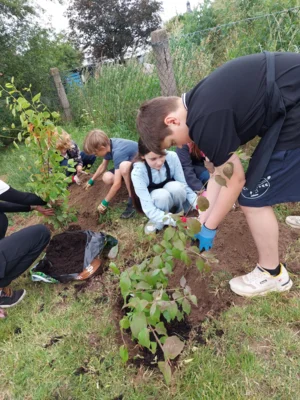 Foto des Albums: Wir pflanzen eine instektenfreundliche Hecke 🐝 🌳