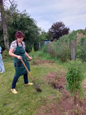 Foto des Albums: Wir pflanzen eine instektenfreundliche Hecke 🐝 🌳