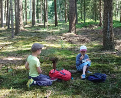 Foto des Albums: Walderlebniswoche 2026