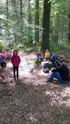 Foto des Albums: Walderlebniswoche 2026