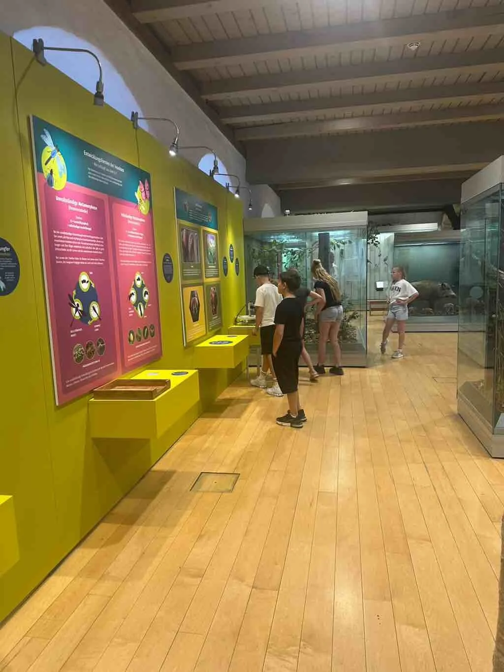 Bild der Galerie