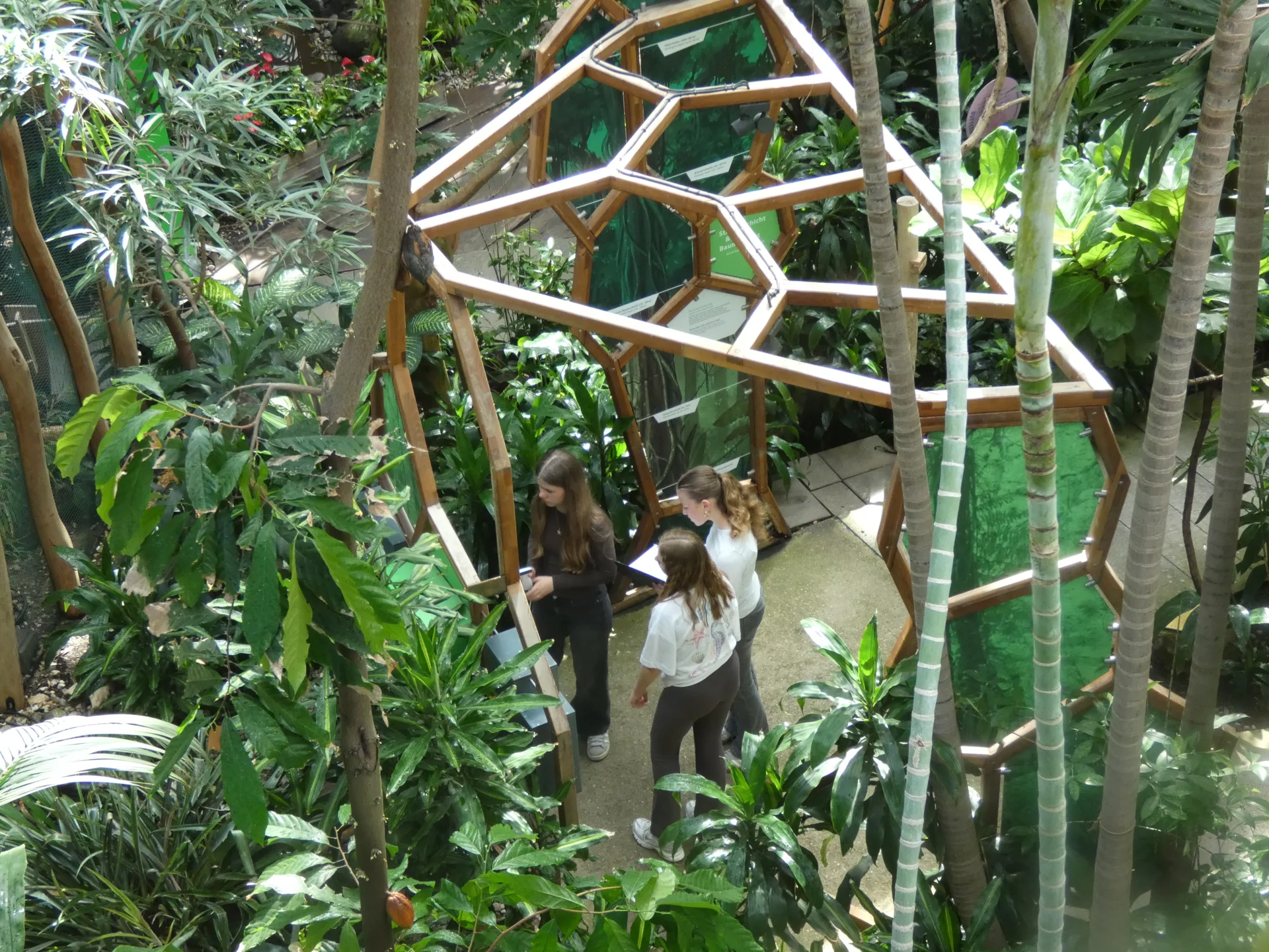 Bild der Galerie
