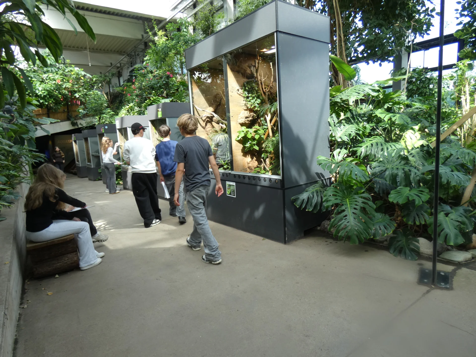 Bild der Galerie