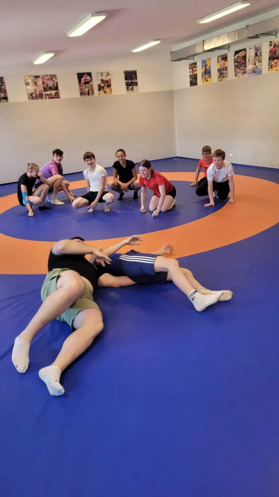 Bild der Galerie
