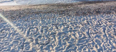 Foto des Albums: Trainingsfahrt Warnemünde