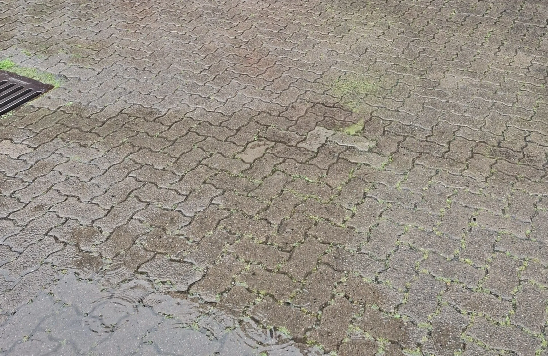 Bild: 2026-06--MTB-Tour-Am Tag1-Ziemlich viel Wasser auf dem Hof-kl003