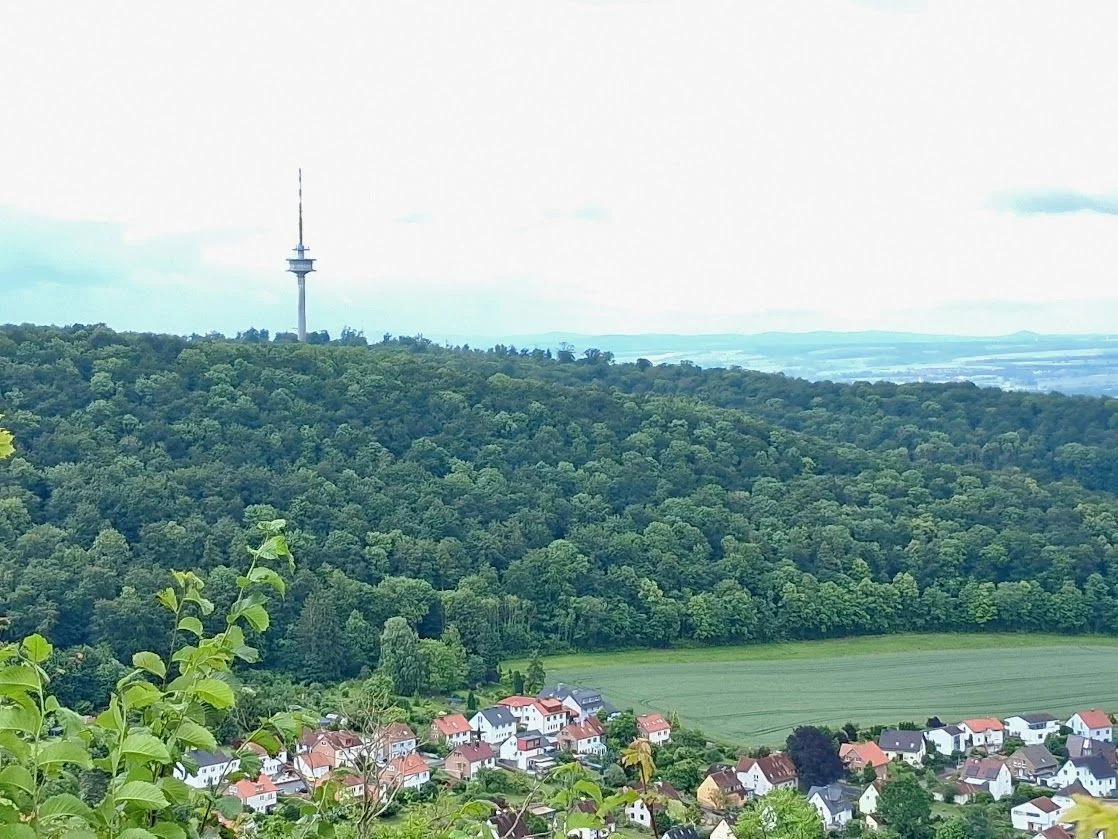 Bild: 2026-06--MTB-Tour-Tag3-Blick von der Burg Plesse 2-kl026