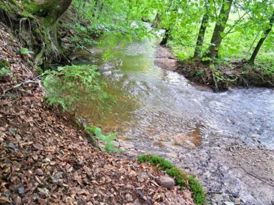 2026-06--MTB-Tour-Tag2 -Der Weg endet abrupt-kl008  (Bild vergr&ouml;&szlig;ern)