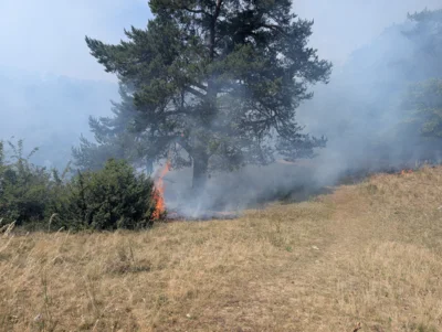 Foto des Albums: EINSATZ BR4 Eselsburger Tal