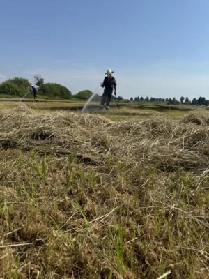 Foto des Albums: B2A - Brennt Rundballenpresse + Vegetation